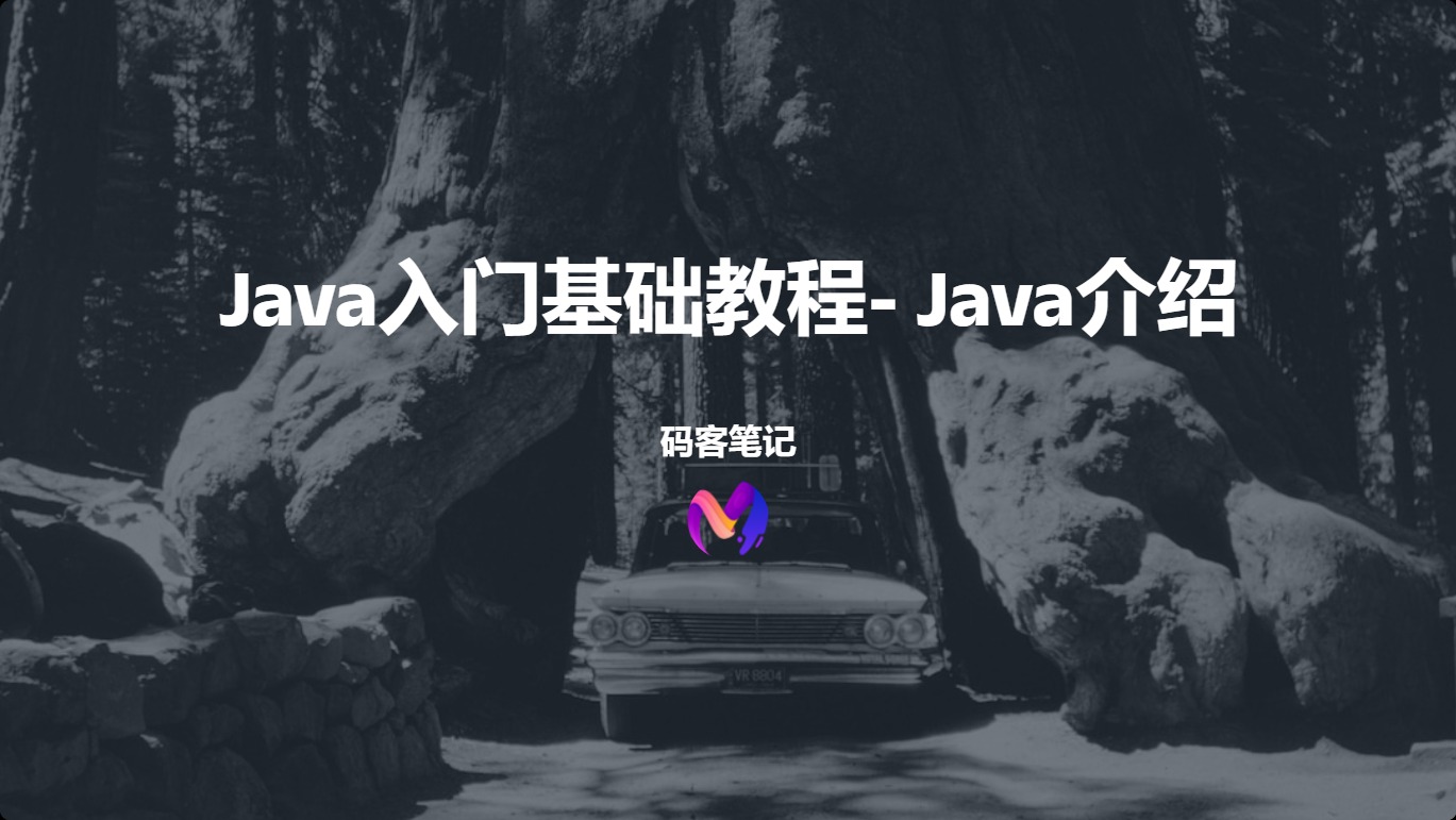 Java入门基础教程- Java介绍